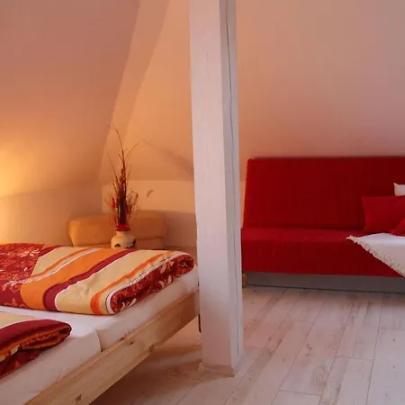 The Seagull House 