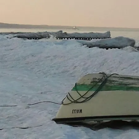 The Seagull House 